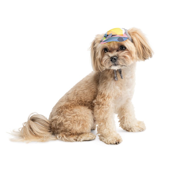 Кепка Tony ТМ Pet Fashion для собак M