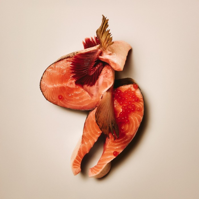 Корм сухий Carnilove True Fresh Fish & Turkey Sterilised для стерилізованих котів риба та індичка 6 