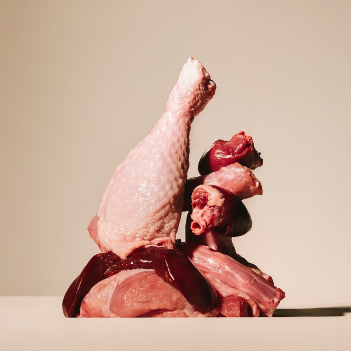 Корм сухий Carnilove True Fresh Turkey Sterilised для стерилізованих котів індичка 6 кг