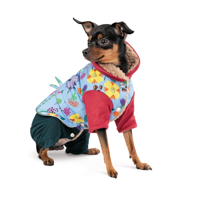 Pet Fashion Костюм дівчинка Alisa S для собак