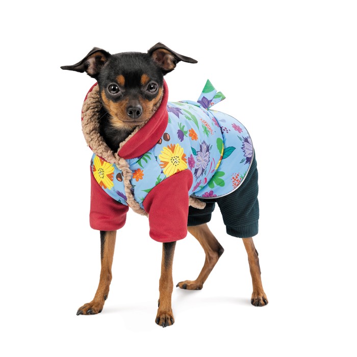Pet Fashion Костюм дівчинка Alisa S для собак