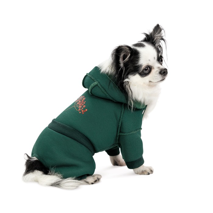 Pet Fashion Костюм BERRY L