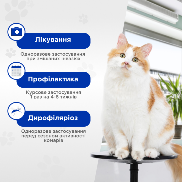 Квадромідас — C протипаразитарні таблетки для котів 0,5-2 кг, 0,2 г, MODES