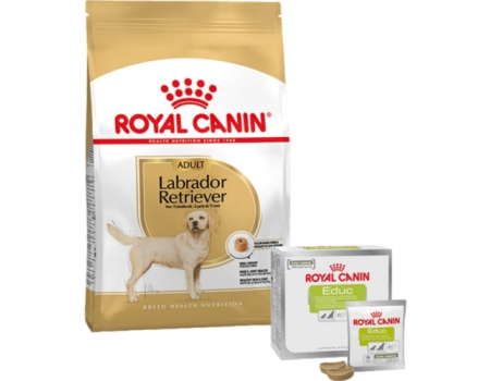 Сухой корм ROYAL CANIN LABRADOR ADULT 12 kg + лакомство EDUC 30 шт.