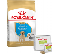 Сухой корм ROYAL CANIN LABRADOR PUPPY 12 kg + лакомство EDUC 30 шт...