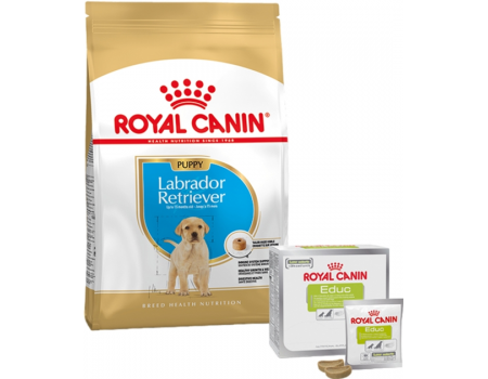 Сухой корм ROYAL CANIN LABRADOR PUPPY 12 kg + лакомство EDUC 30 шт.