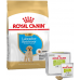 Сухой корм ROYAL CANIN LABRADOR PUPPY 12 kg + лакомство EDUC 30 шт.