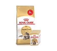 Акція // Сухий корм для дорослих мейн-кунів ROYAL CANIN MAINECOON ADUL..