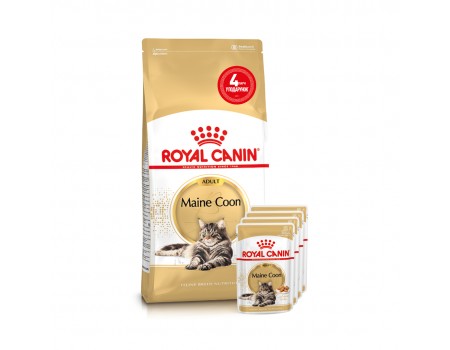 Акція // Сухий корм для дорослих мейн-кунів ROYAL CANIN MAINECOON ADULT 2кг + 4 паучі в подарунок