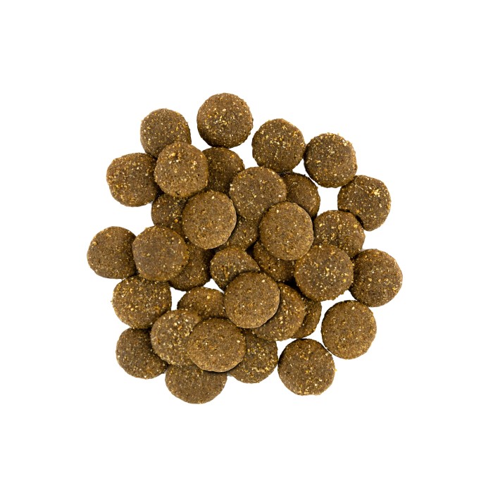 Сухий корм для собак великих порід Savory Large Breeds rich in Fresh Turkey and Lamb зі свіжим м’ясом індички та ягнятиною, 12 кг