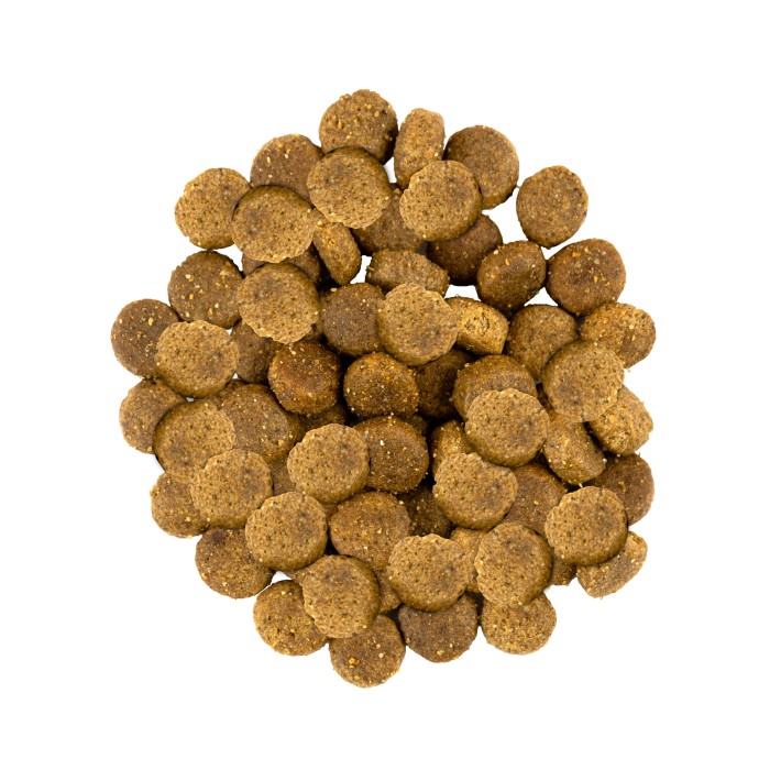 Сухий корм для собак середніх порід Savory Medium Breed rich in Fresh Turkey and Lamb зі свіжим м’ясом індички та ягнятиною, 12 кг