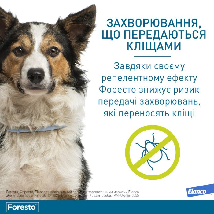 Elanco (Bayer) Foresto нашийник для собак 70 см