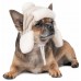 Pet Fashion Шапка BUBO для собак, серая, S  - фото 2