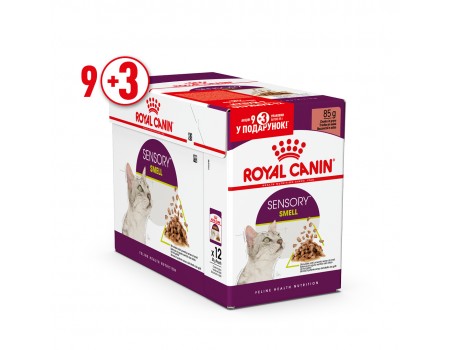 Акція Royal Canin Sensory Smell Gravy cat - упаковка 9шт +3шт у подарунок