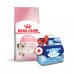 Royal Canin KITTEN 4kg + Catsan 5L