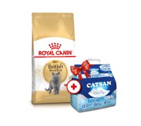 Акция Сухой корм для кошек Royal Canin BRITISH SHORTHAIR 4 кг + Наполн..