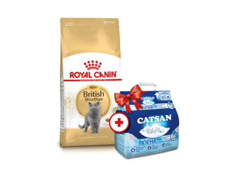 Акция Сухой корм для кошек Royal Canin BRITISH SHORTHAIR 4 кг + Наполнитель для туалетов Catsan 5 л