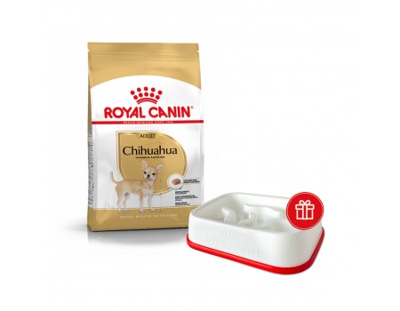 Сухой корм ROYAL CANIN CHIHUAHUA ADULT для взрослых собак породы чихуахуа, 3 кг + миска для медленного питания в подарок