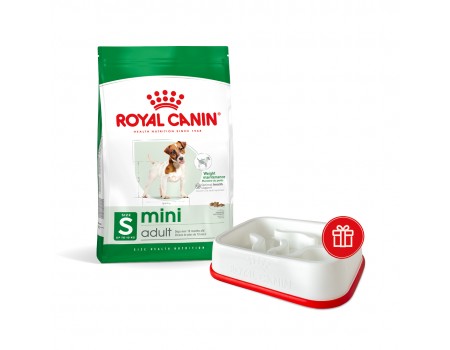 Сухой корм ROYAL CANIN MINI ADULT для взрослых собак малых пород, 4 кг + миска для медленного питания в подарок