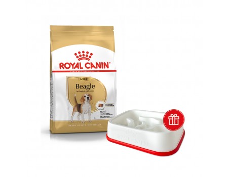 Сухой корм ROYAL CANIN BEAGLE ADULT для взрослых собак породы бигль, 3 кг + миска для медленного питания в подарок