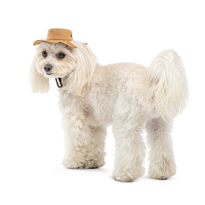 Панама Pet Fashion Ava, для собак, бавовна, бежева, S