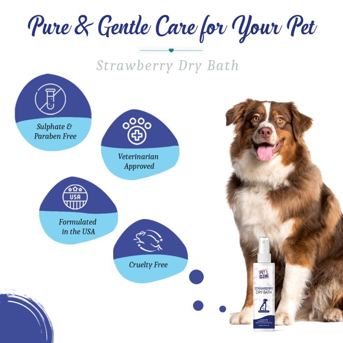 Сухой шампунь Pet Clean DRY BATH-STRAWBERRY для животных с ароматом клубники 250мл