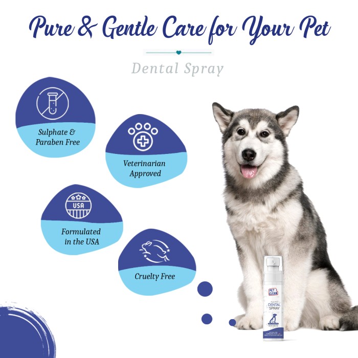 Спрей Pet Clean DENTAL SPRAY для гигиены полости рта и поддержания здоровья зубов домашних животных 100 мл