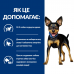 Сухий корм Hill’s Prescription Diet Canine Metabolic Mini Chkn, контроль ваги, для собак малих порід,  курка, 1 кг  - фото 3