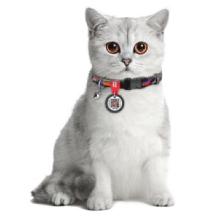 Нашийник для котів нейлоновий WAUDOG Nylon з QR паспортом, малюнок "Вітраж", пластиковий фастекс, XS, Ш 10 мм, Дл 20-30 см