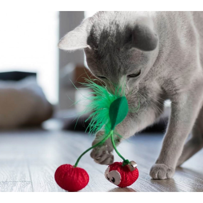 PETSTAGES Іграшка для котів Дентал Вишня