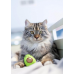 Игрушка для кошек PETSTAGES Авокадо, 7,5 х 5,5 х 4 см  - фото 2