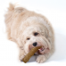 PETSTAGES Іграшка для собак Петстейджес Дог Вуд Стік Міцна гілка, середня, 19,5 см x 3,5 см x 3 см  - фото 2