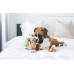 PETSTAGES Іграшка інтерактивна для собак Білка-Схованка, велика, H= 20 см d =18 см  - фото 2