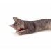 Petstages Catnip Plaque Away Pretzel Org игрушка для котов, претцель с кошачей мятой   - фото 2