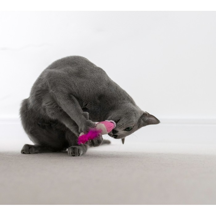 Petstages Dental Shrimpies 2pk Mlt іграшка для котів, креветки з котячою м'ятою