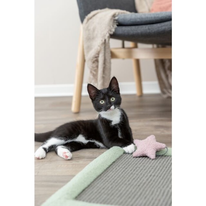 Кігтеточка-килимок Trixie Junior Scratching Mat для котів, 47×47 см