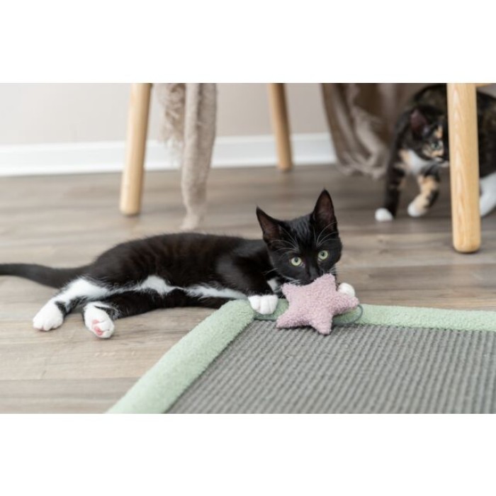 Кігтеточка-килимок Trixie Junior Scratching Mat для котів, 47×47 см