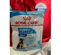 Подарунок Royal Canin MAXI PUPPY 4*50г..