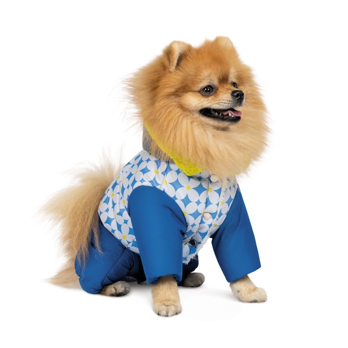 Костюм для собак Pet Fashion TENDER XS