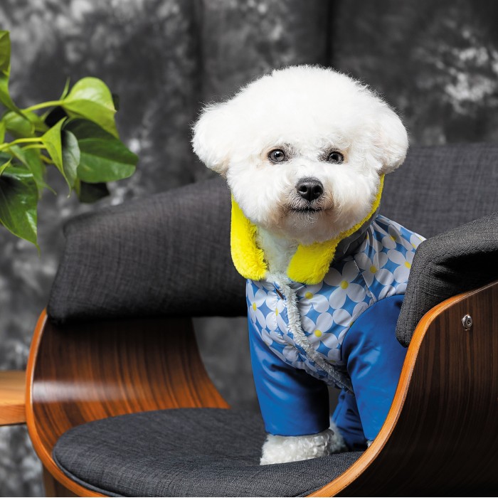 Костюм для собак Pet Fashion TENDER XS