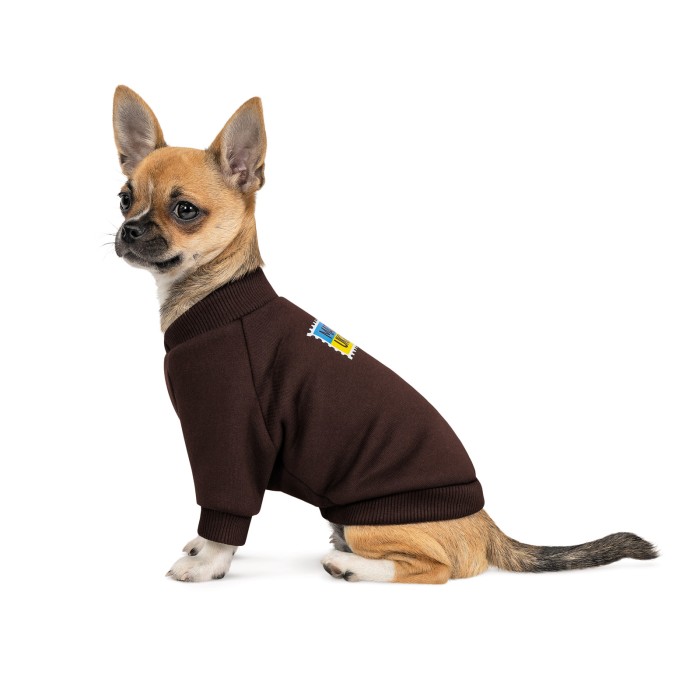 Толстовка для собак Pet Fashion  Made in Ukraine M