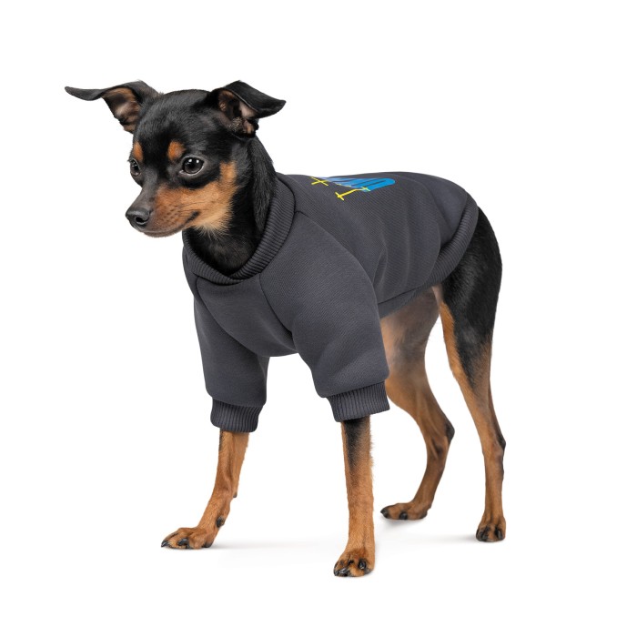 Толстовка для собак Pet Fashion  "I stand with" M