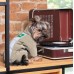 Комбинезон для собак Pet Fashion EGO М  - фото 6