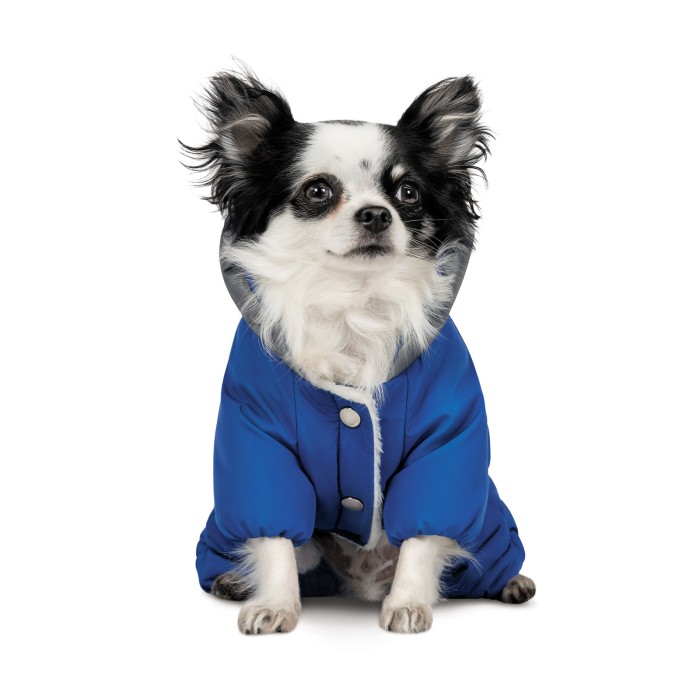 Костюм для собак Pet Fashion ZHAN XS2