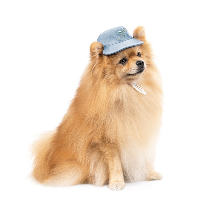 Панама з квітковим принтом Pet Fashion Blue, XS, блакитна