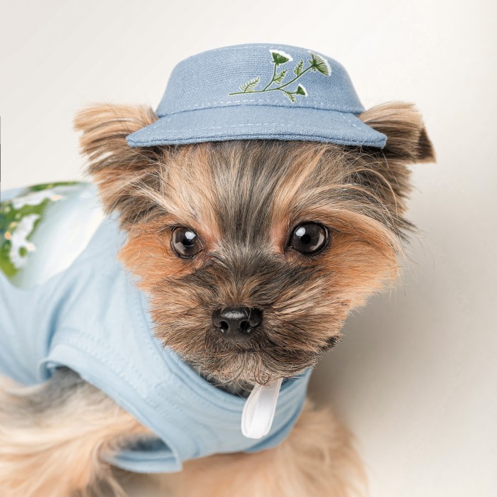 Панама з квітковим принтом Pet Fashion Blue, XS, блакитна
