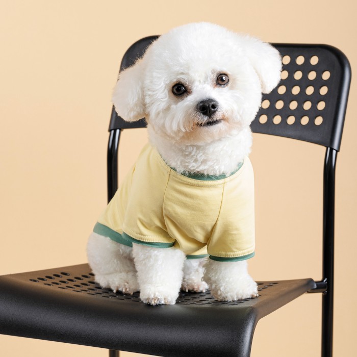 Футболка для собак Pet Fashion Endy, S, зелений/жовтий