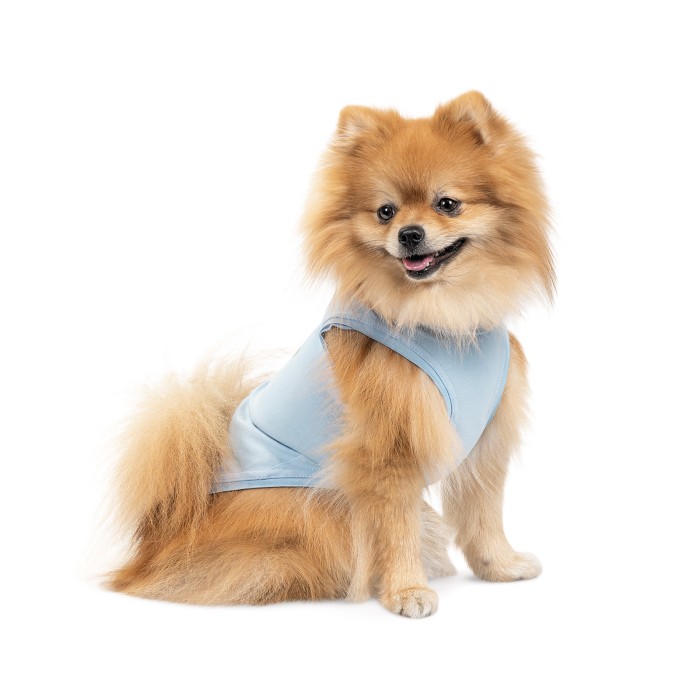 Майка для собак Pet Fashion Adam, XS, блакитний
