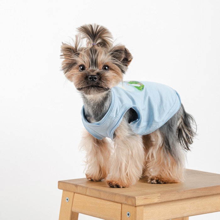 Майка для собак Pet Fashion Adam, XS, блакитний