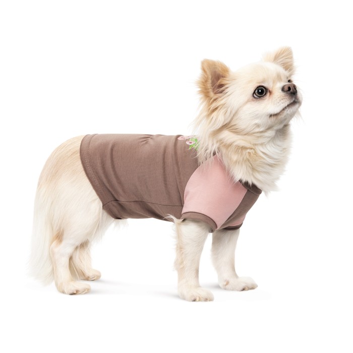 Футболка для собак Pet Fashion Rose, XS, для девочки, пудровый